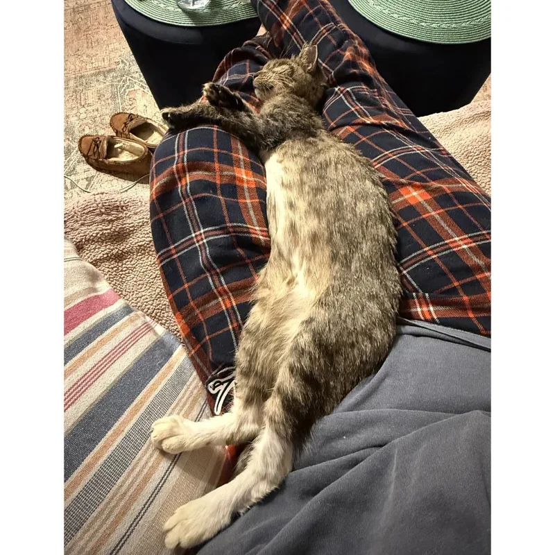 Francesca thumbnail 5