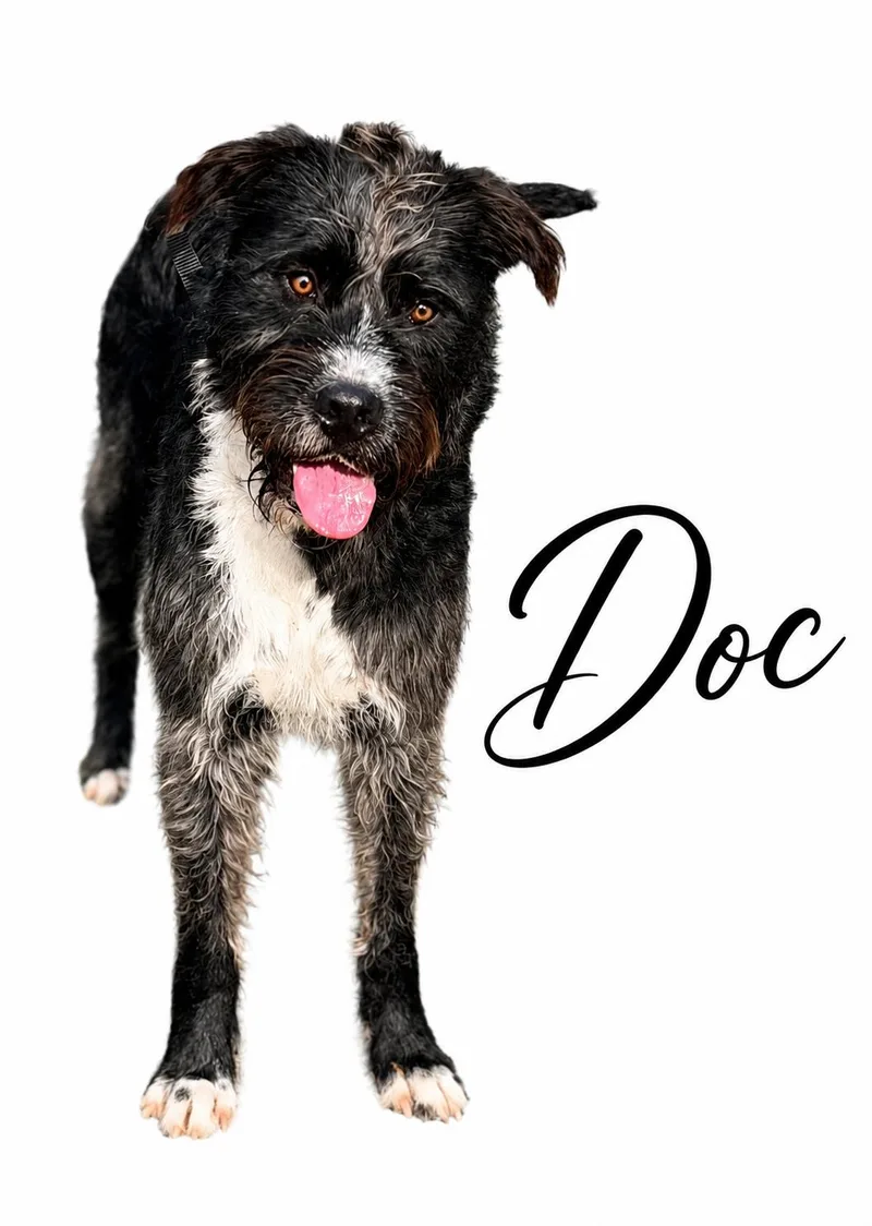 Doc thumbnail 4