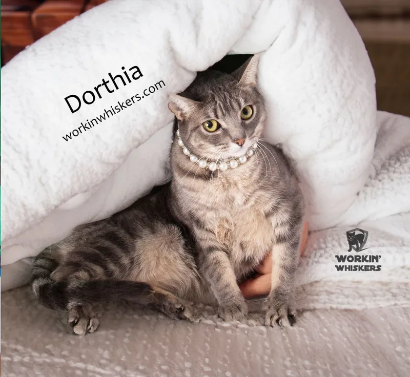 Dorathia thumbnail 2