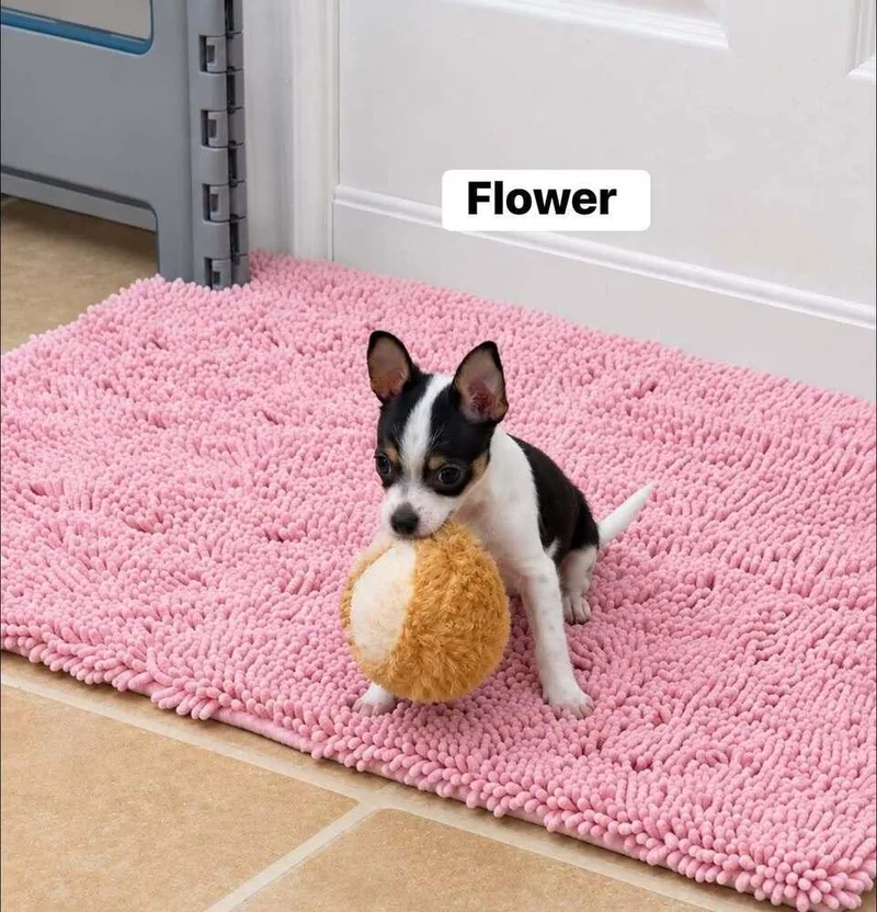 Flower thumbnail 2