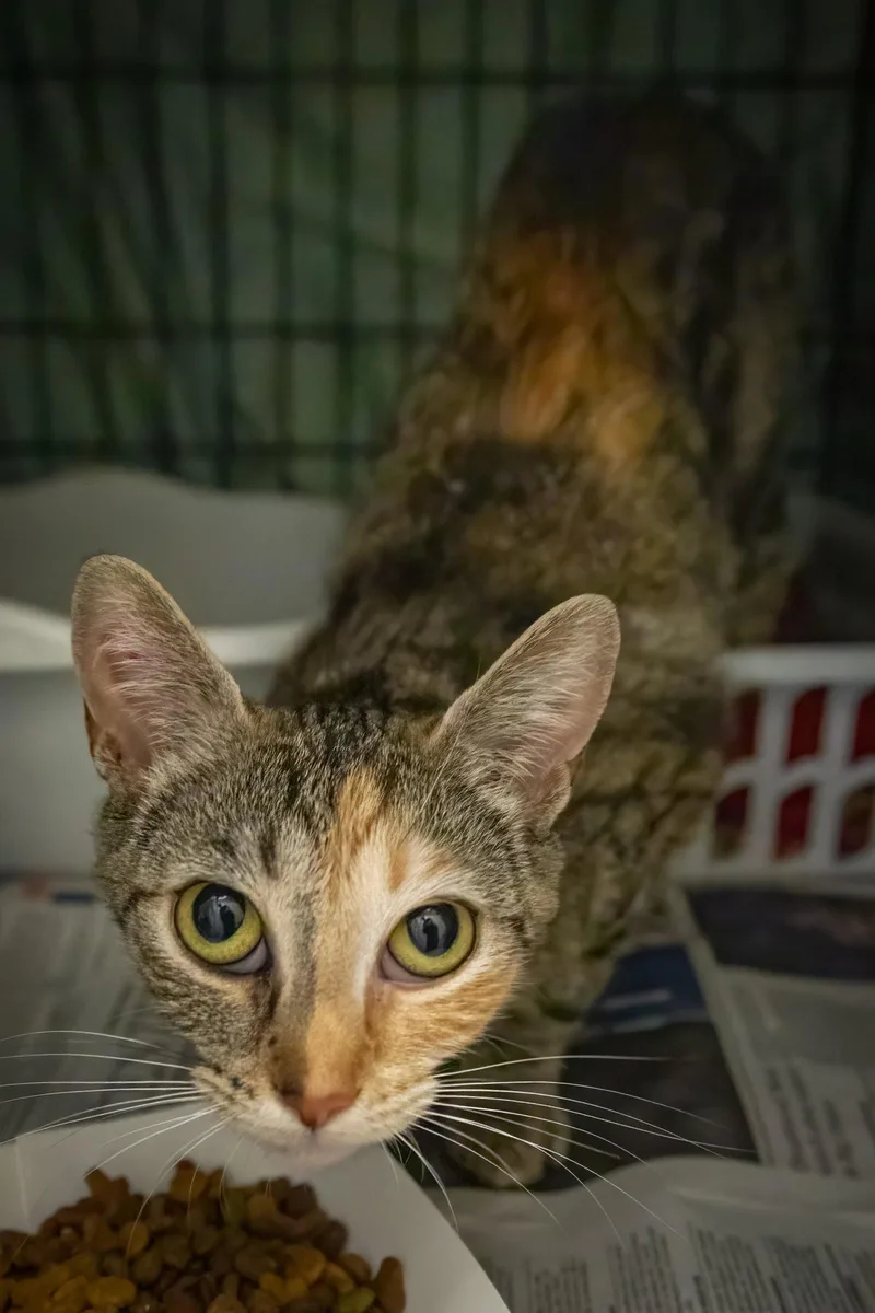 Delilah thumbnail 2