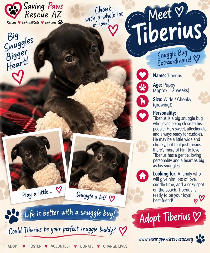 Tori puppy  Tiberius thumbnail 3