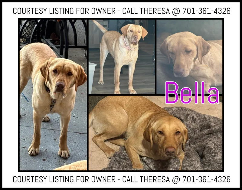 Bella  COURTESY LISTING thumbnail 4