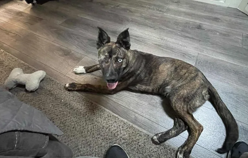 Scottyoakhurst  Ca thumbnail 2