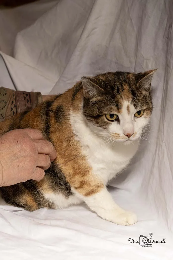 Beth
