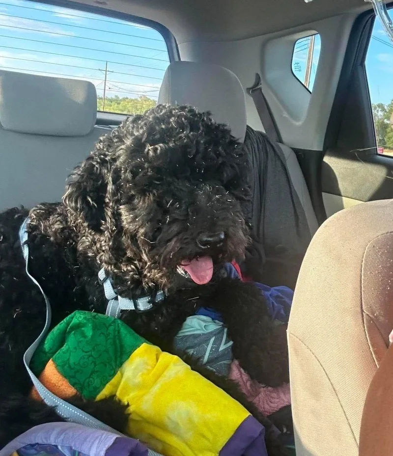 Milo