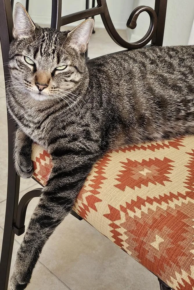 Zeke