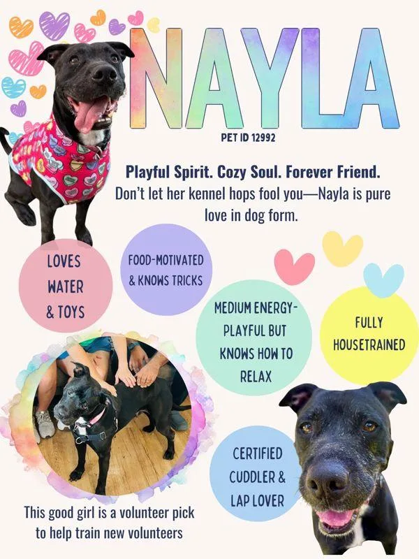 Nayla