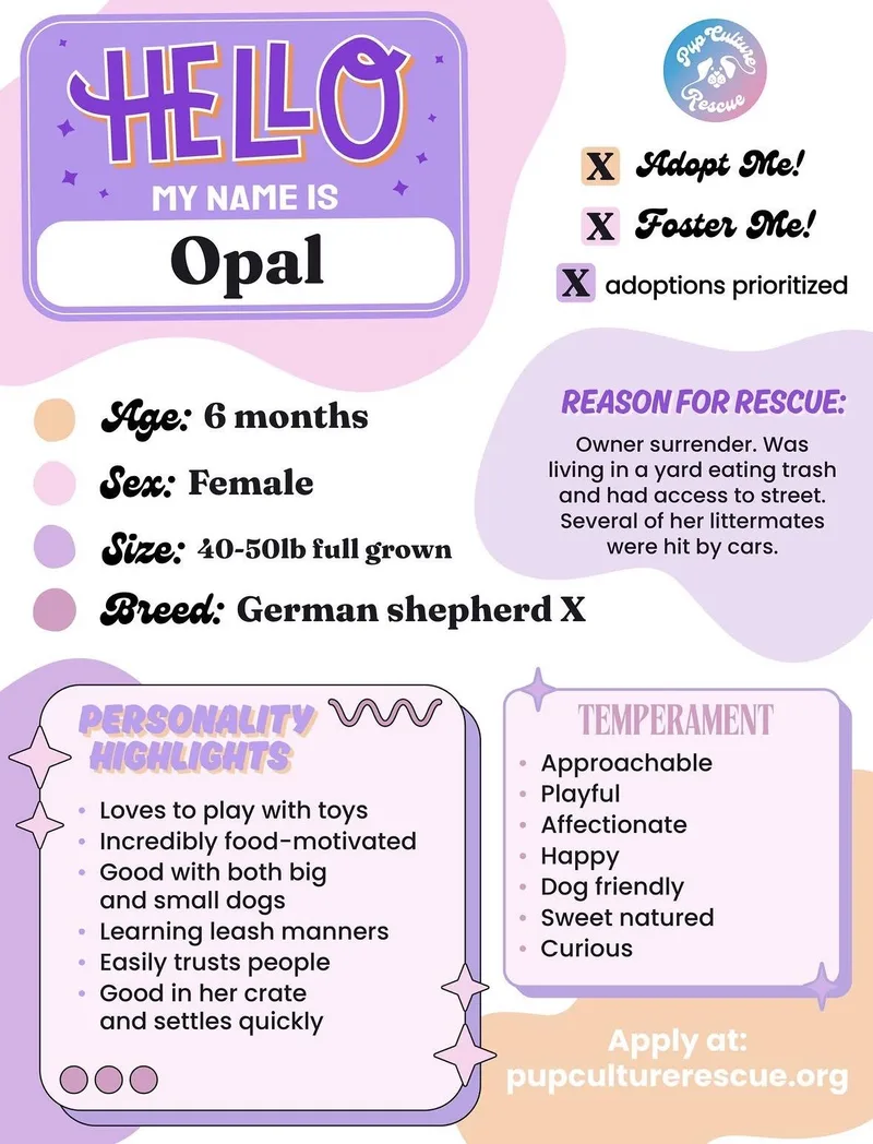 Opal thumbnail 2