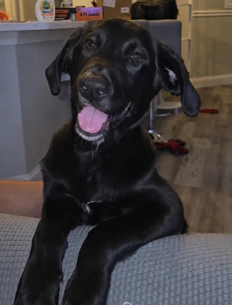 Bruce thumbnail 5