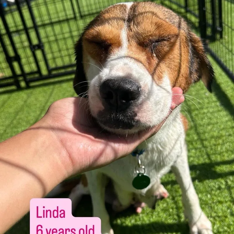 Mama Linda