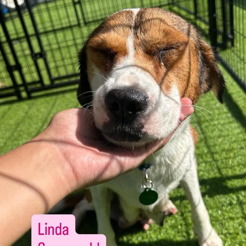 Mama Linda thumbnail 2
