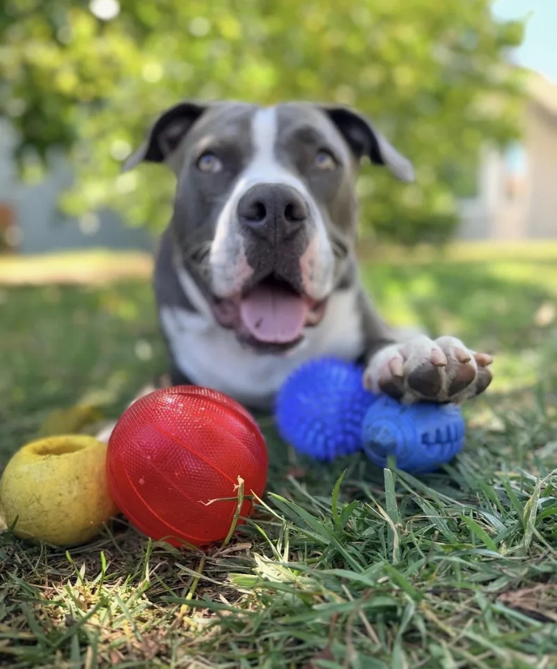 Kona thumbnail 2