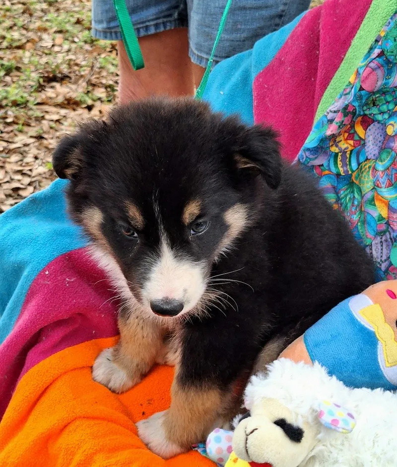 Mariko Mvt thumbnail 4