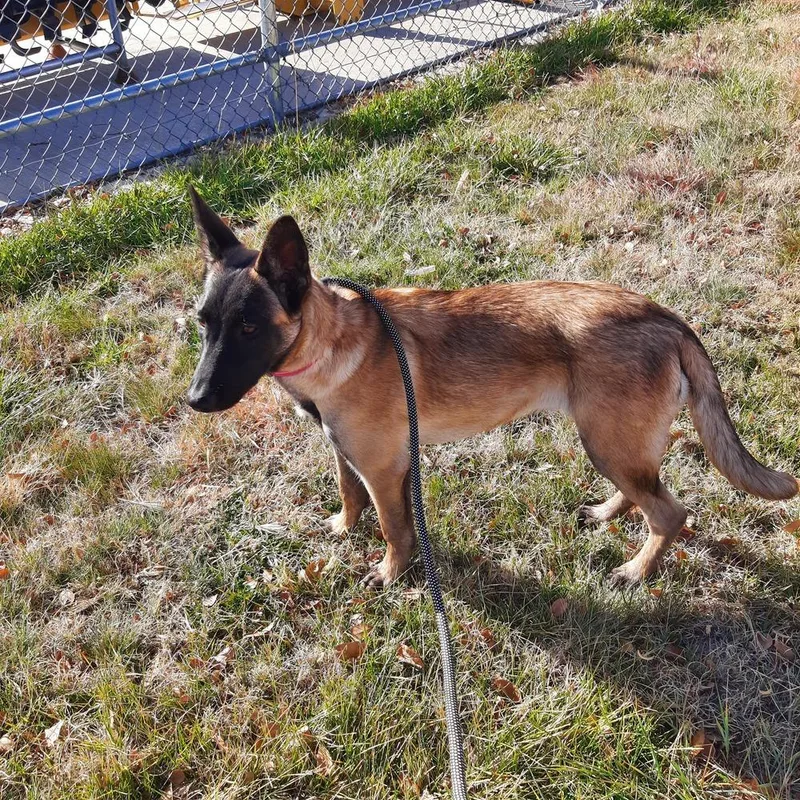 Seraphina Located In Co