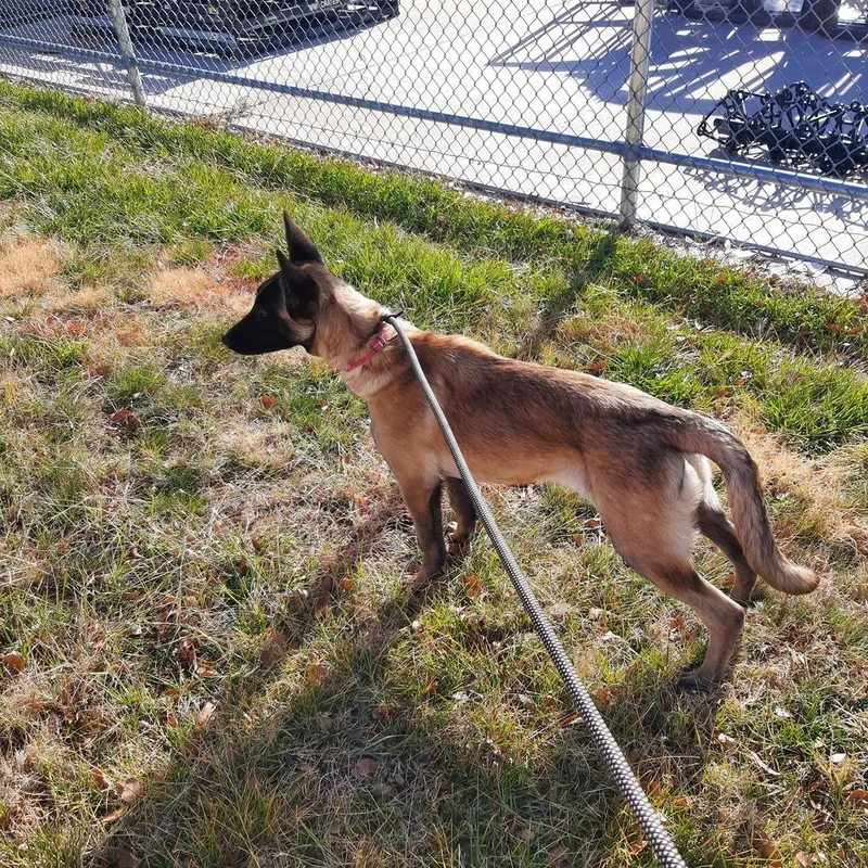 Seraphina Located In Co thumbnail 3