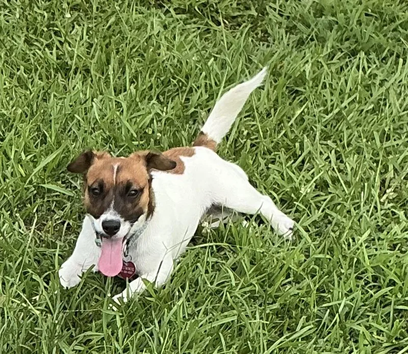 Bella