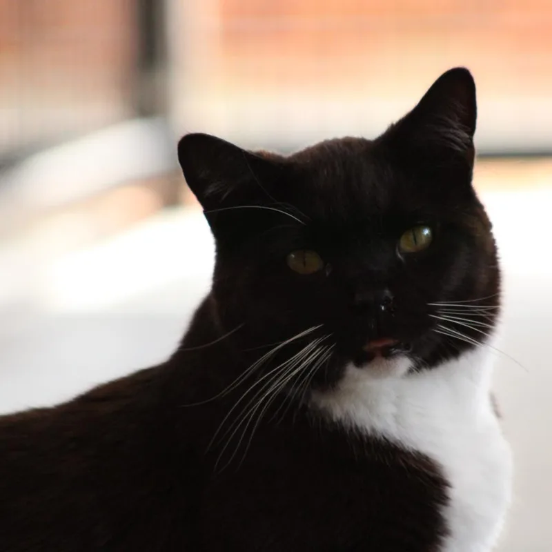 Aaron thumbnail 2