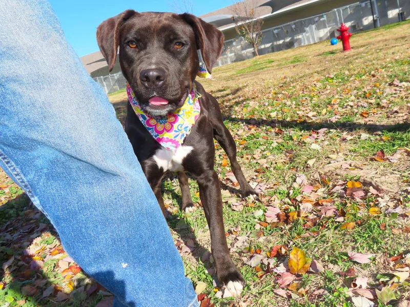 Hallie  Ca thumbnail 3