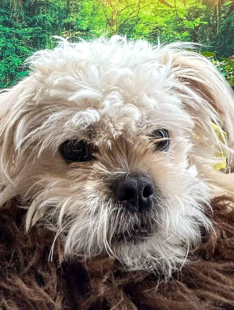 Pierceton thumbnail 2