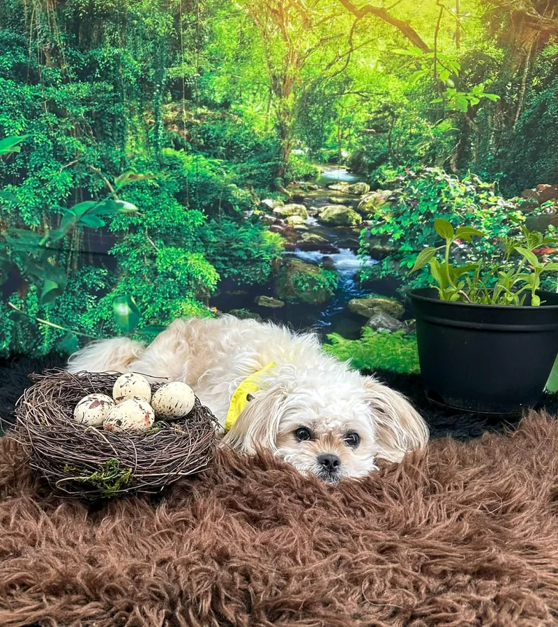 Pierceton thumbnail 3