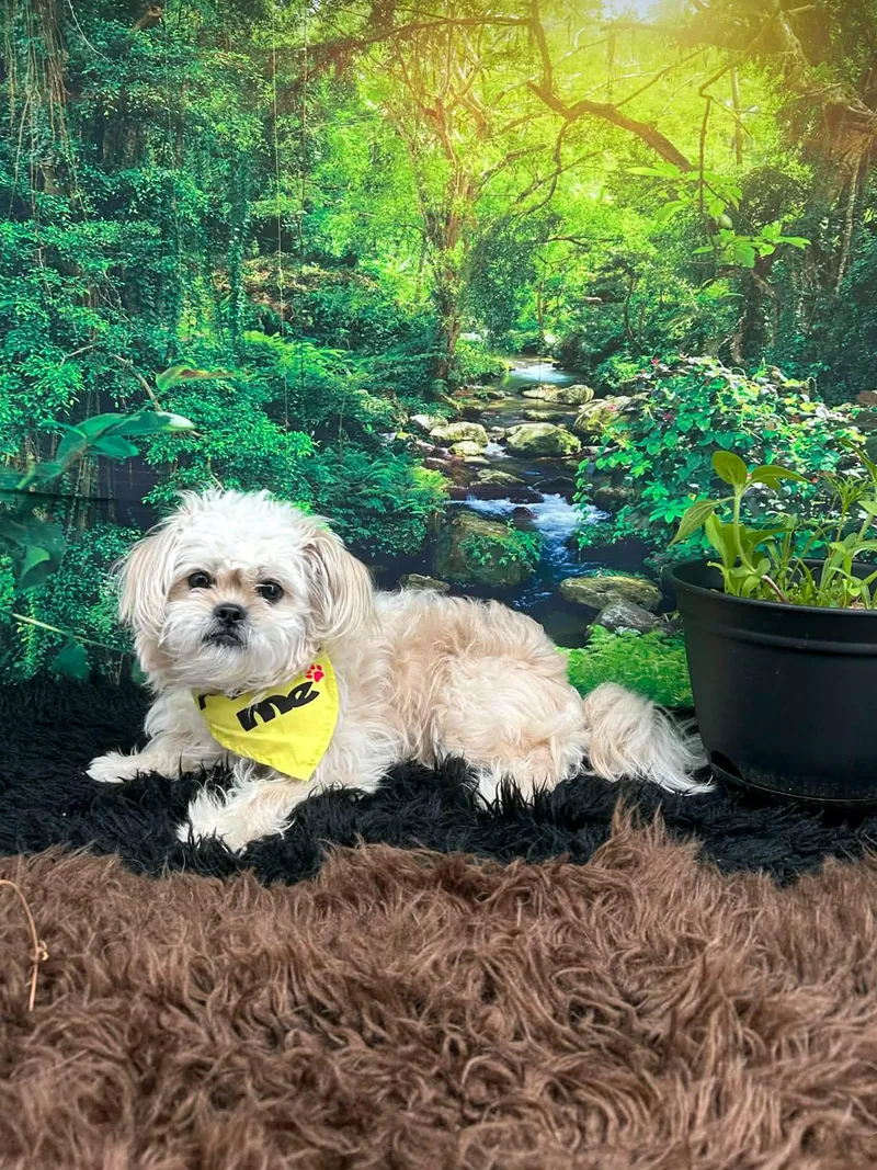 Pierceton thumbnail 4