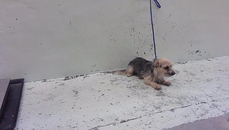 Benny