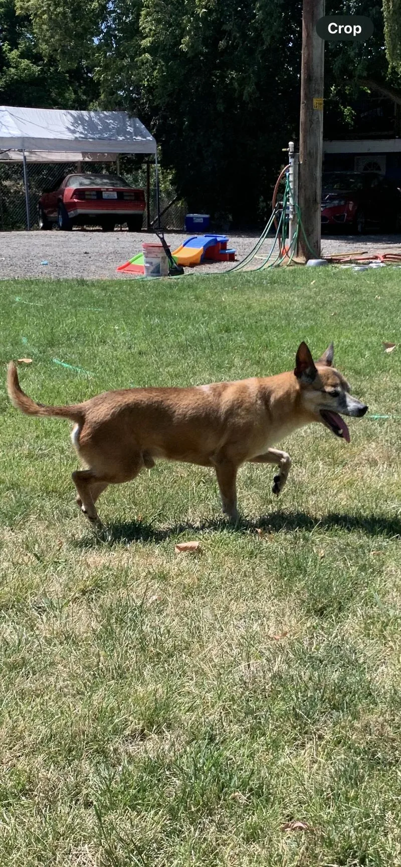 Ranger