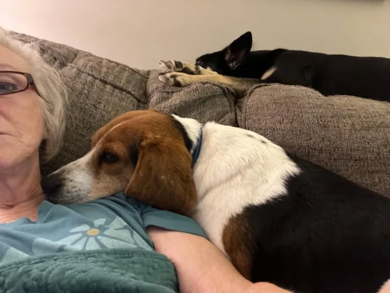 Walter thumbnail 2