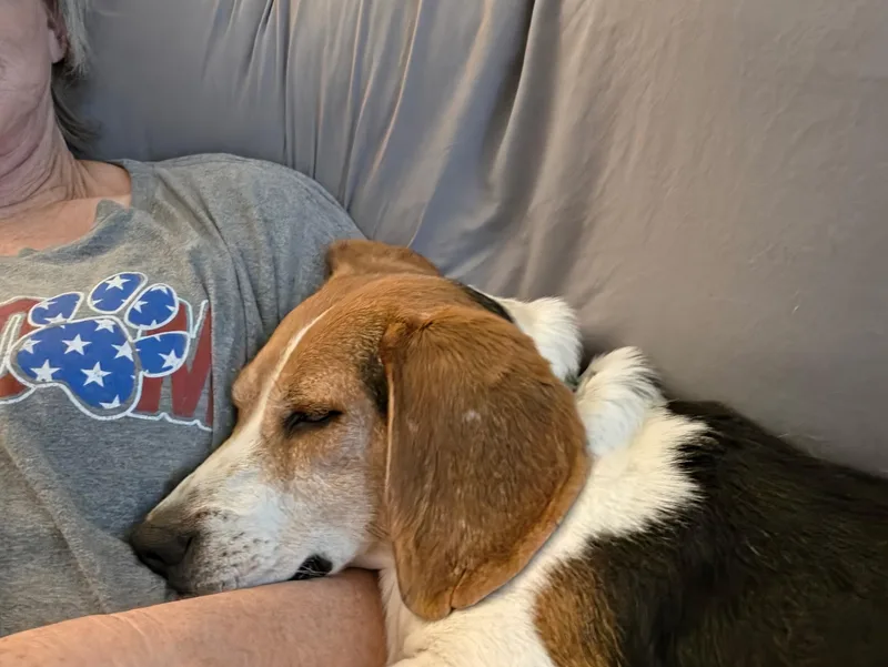 Walter thumbnail 4