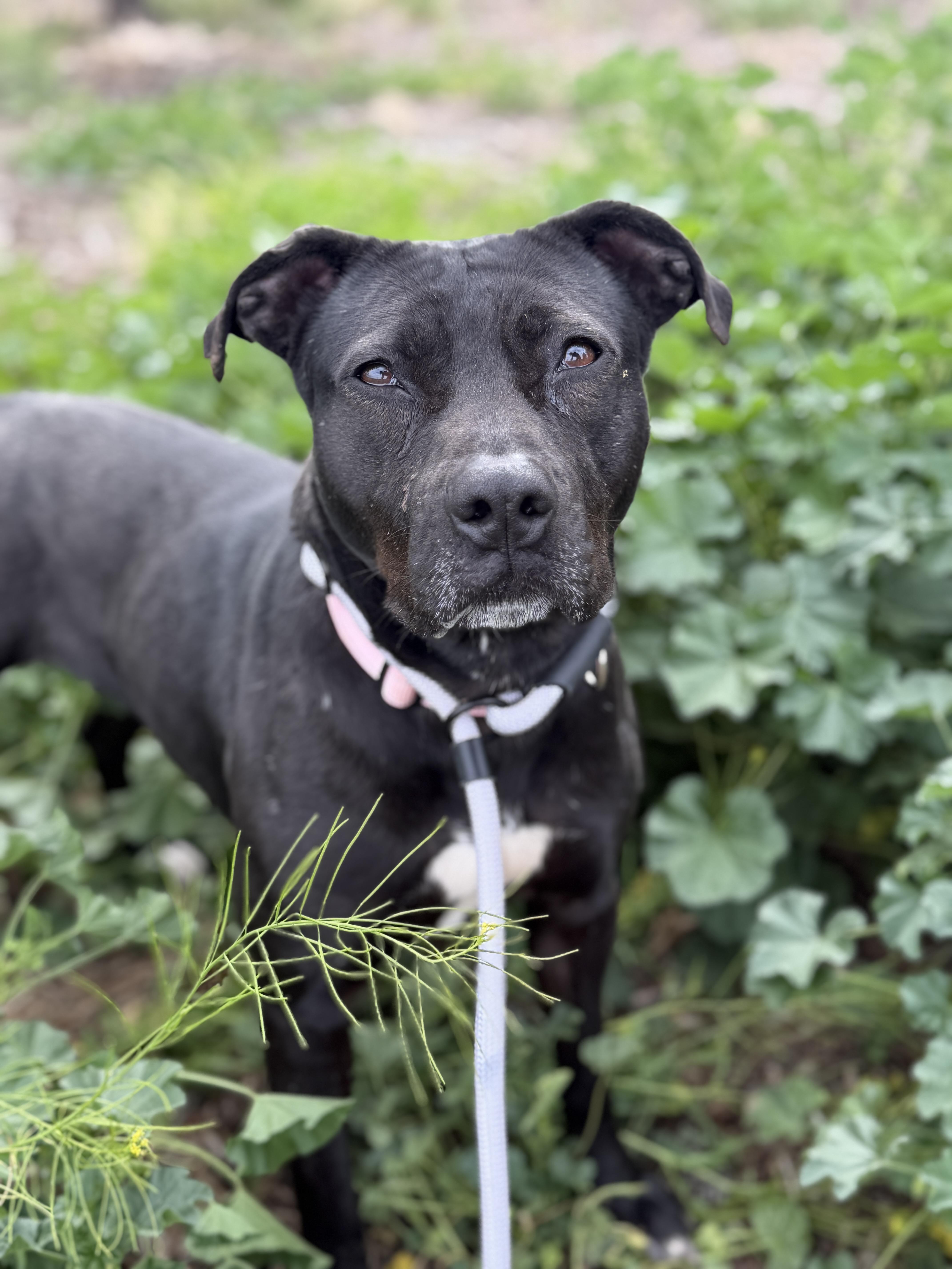 Lil Mama thumbnail 5