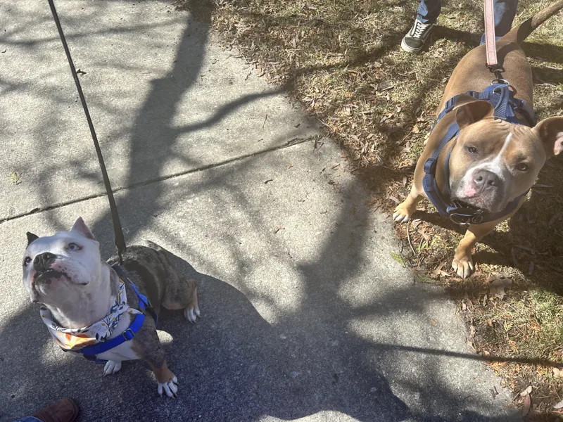 Kerrygold thumbnail 3