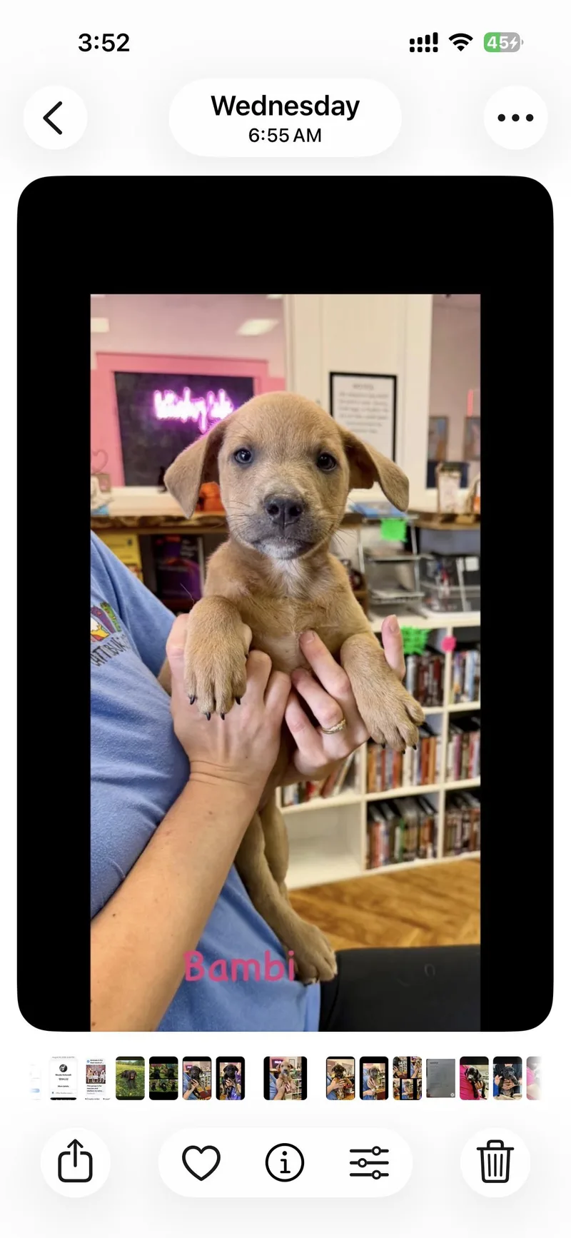 Disney litter thumbnail 6