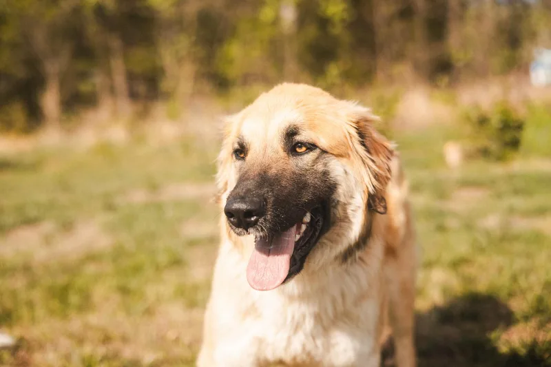 Andalusia Transport thumbnail 3