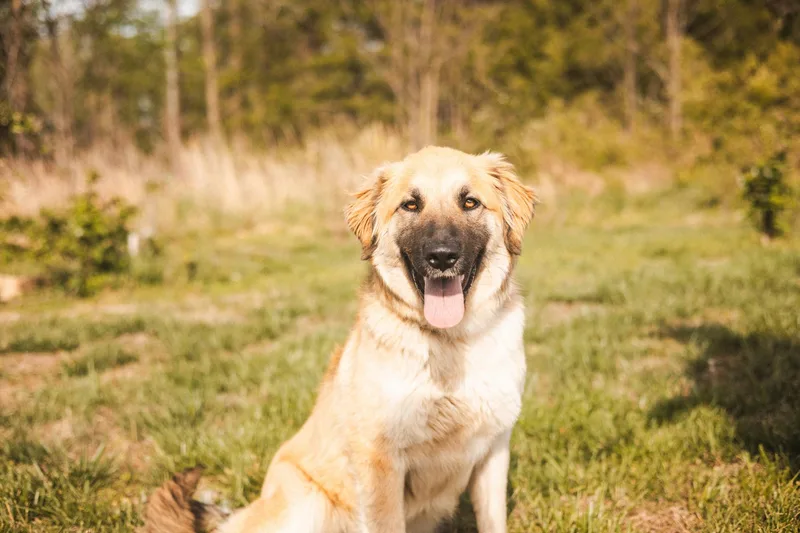 Andalusia Transport thumbnail 4