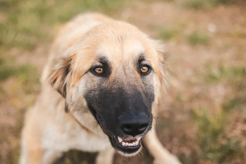 Andalusia Transport thumbnail 5