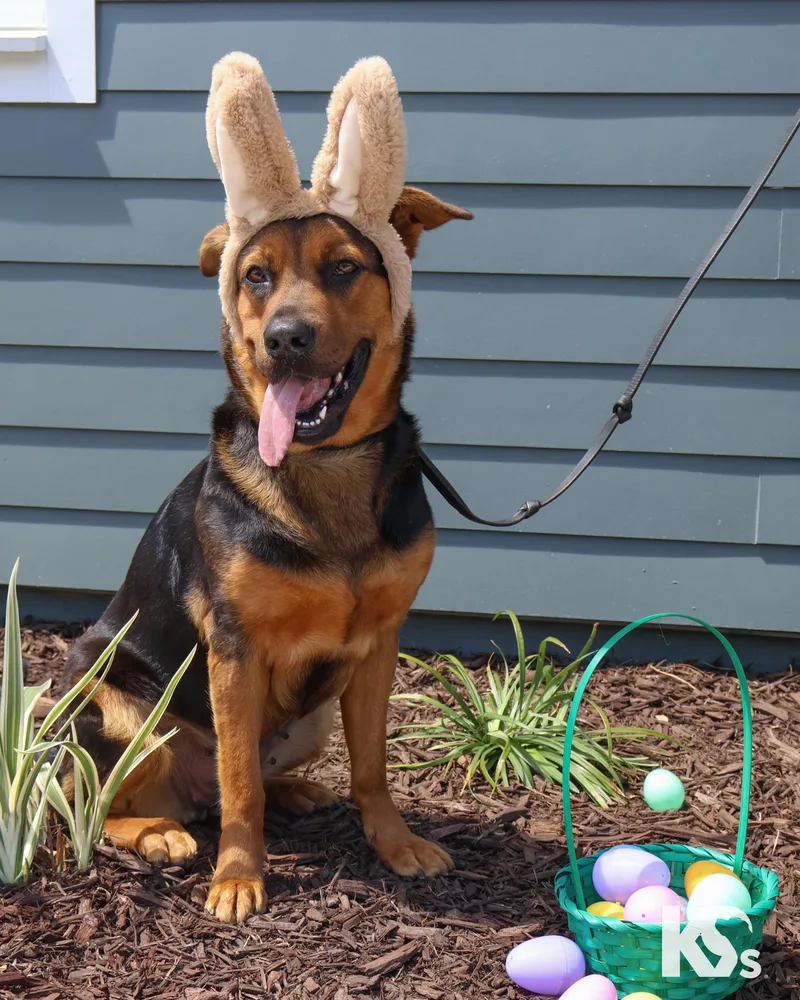 Valentina thumbnail 2