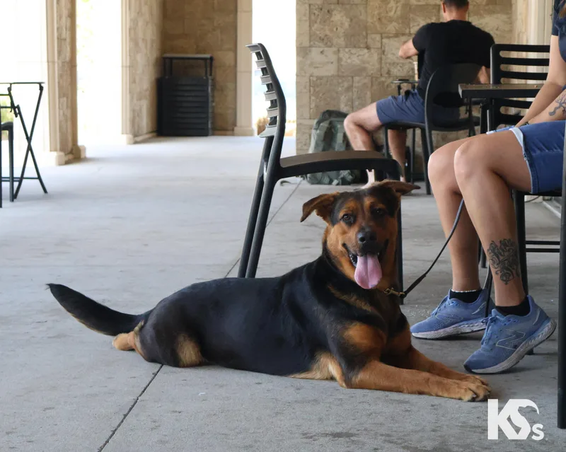 Valentina thumbnail 3