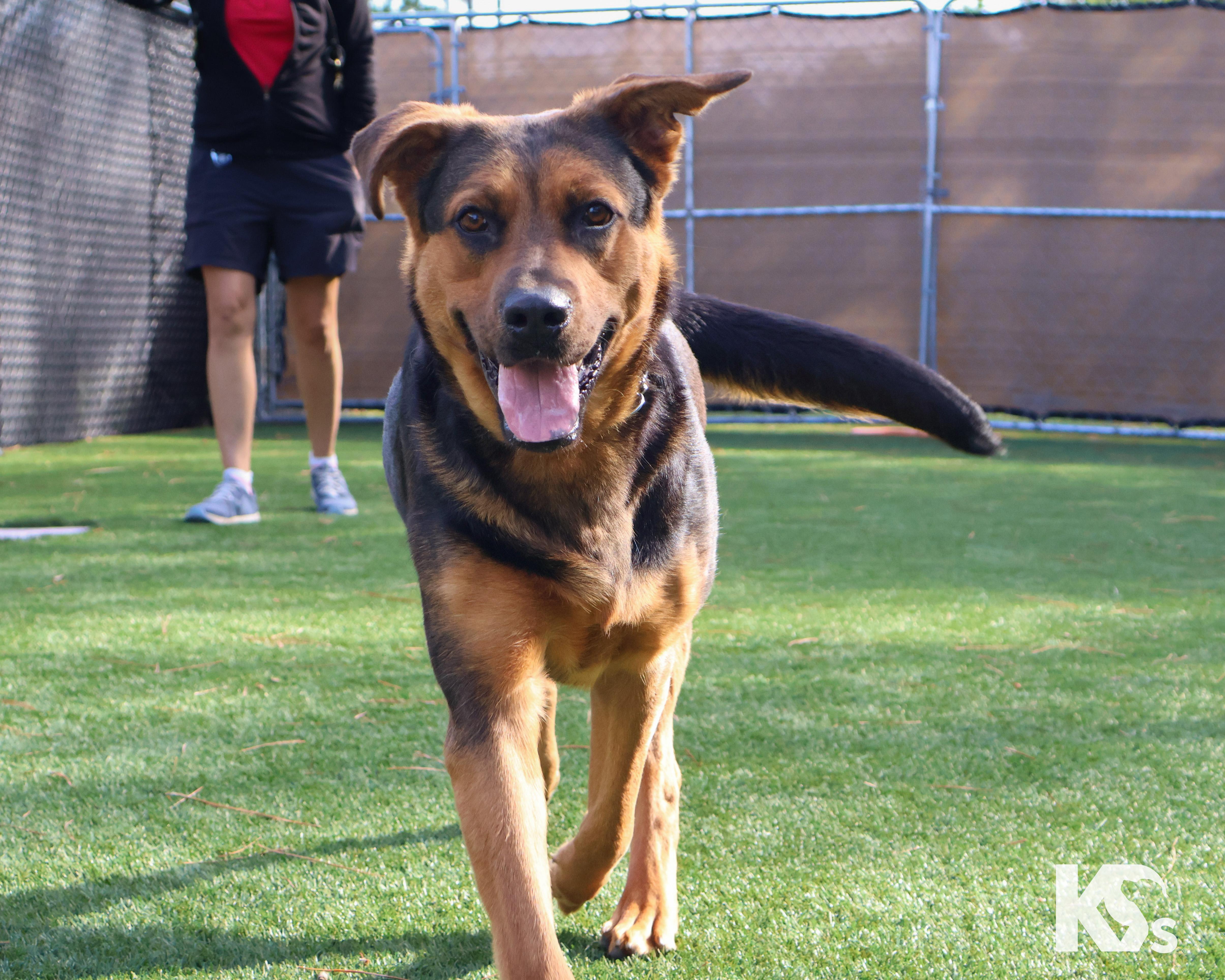 Valentina thumbnail 4