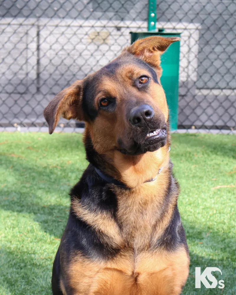 Valentina thumbnail 5