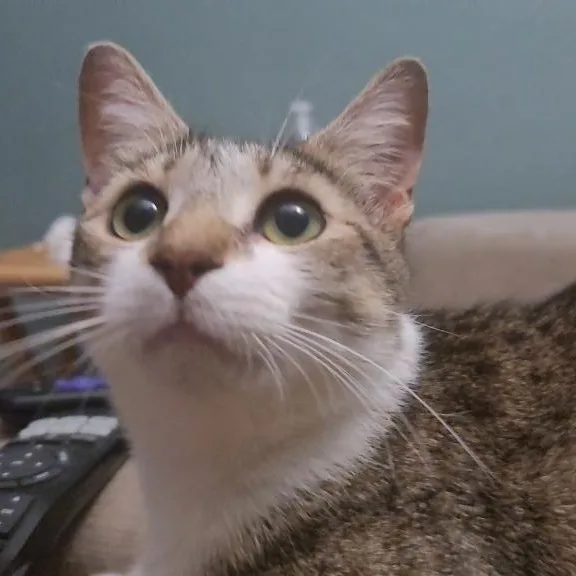 Lucy thumbnail 3