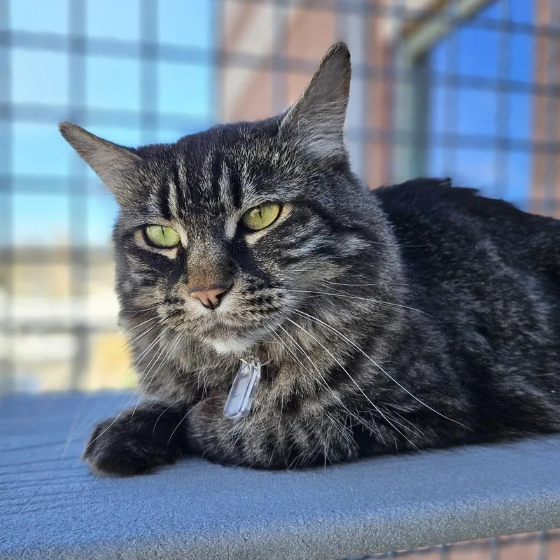 Frankie Momma thumbnail 2