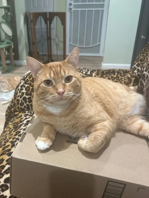 Sam His Dudeness thumbnail 3