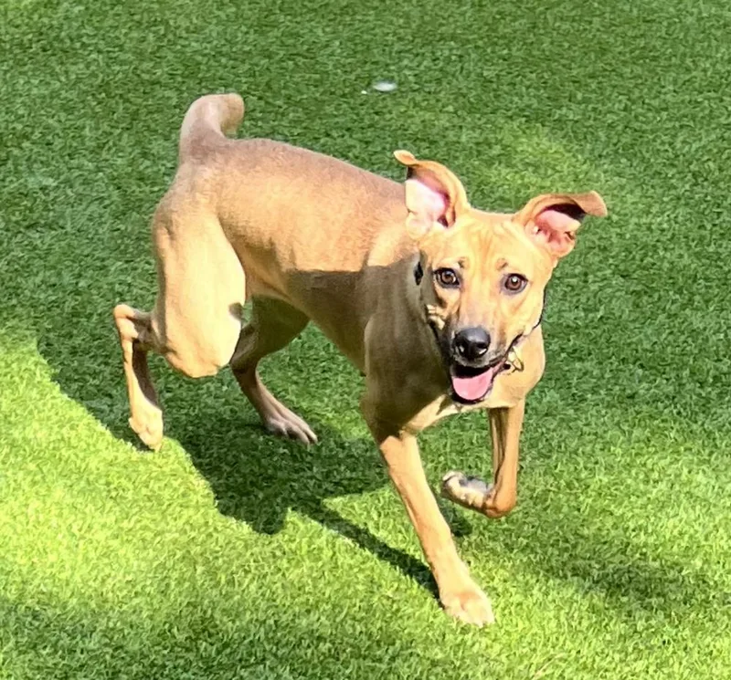 Margarita thumbnail 4