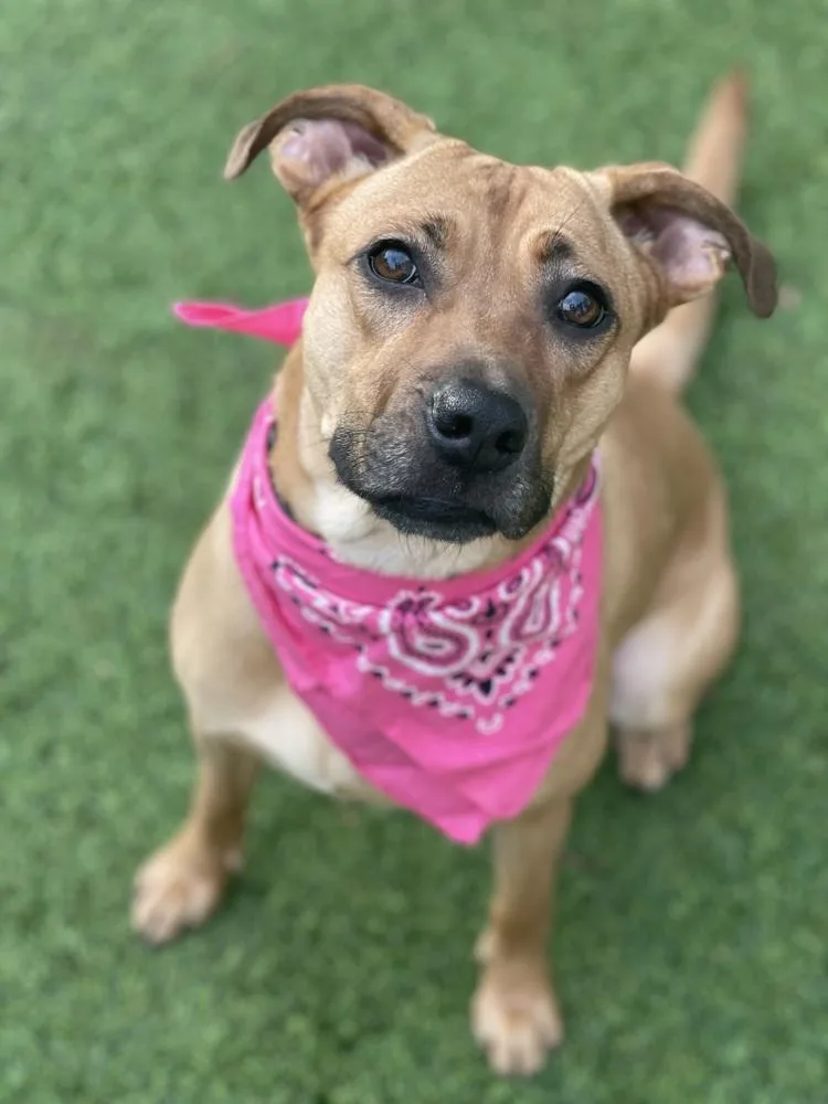 Margarita thumbnail 5