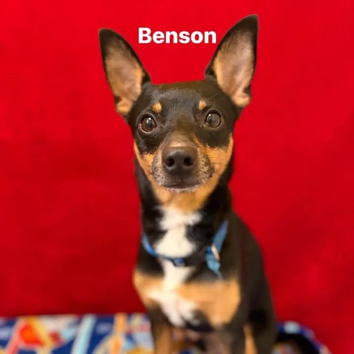 Benson