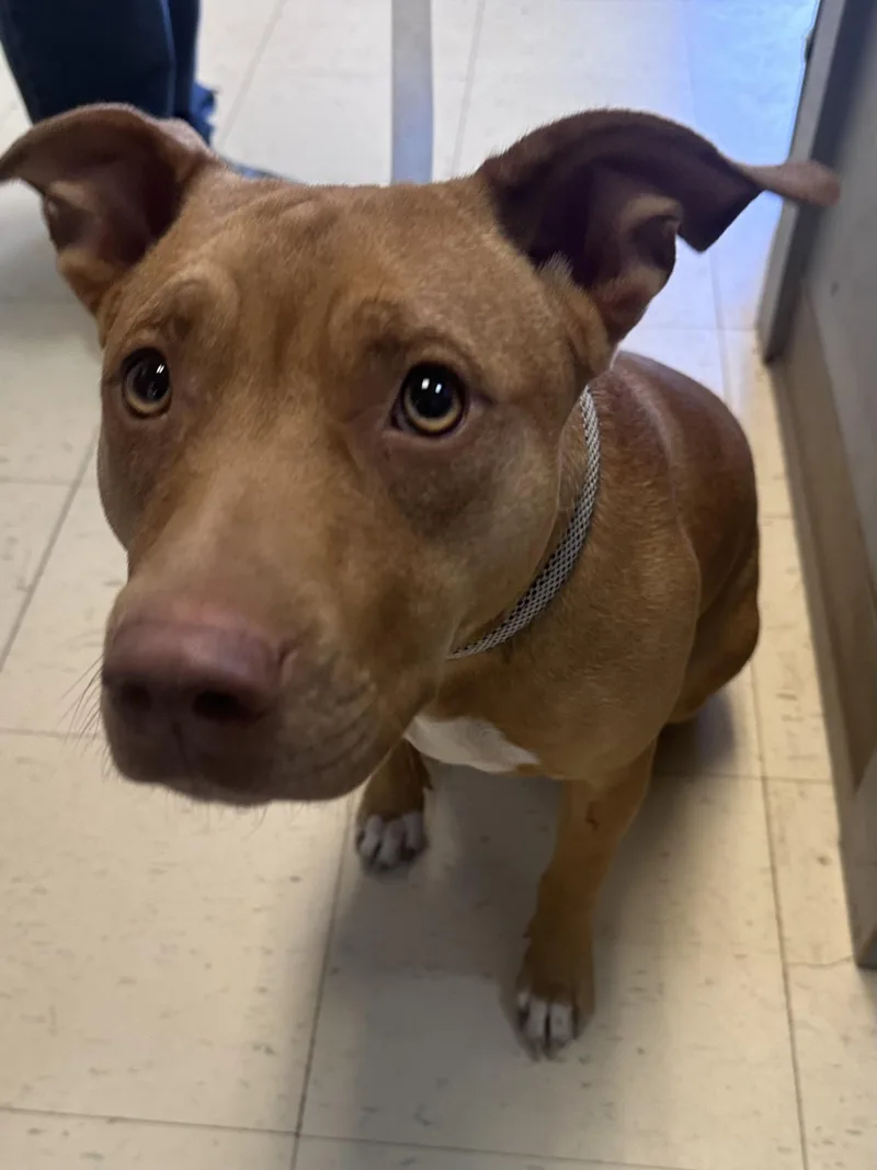 Marley D thumbnail 2