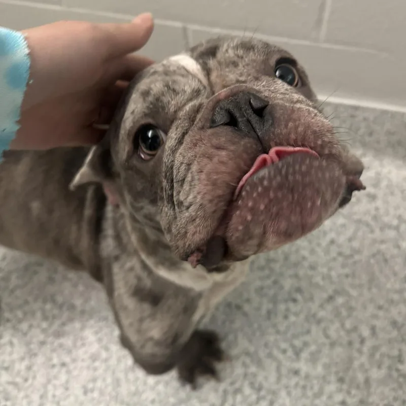 Sprinkles thumbnail 5