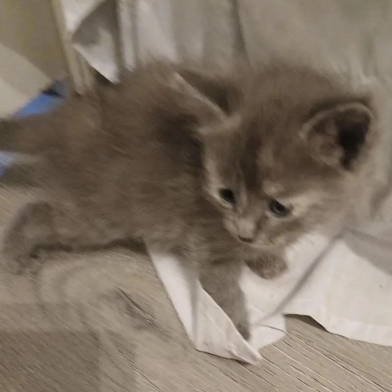 Lena thumbnail 2