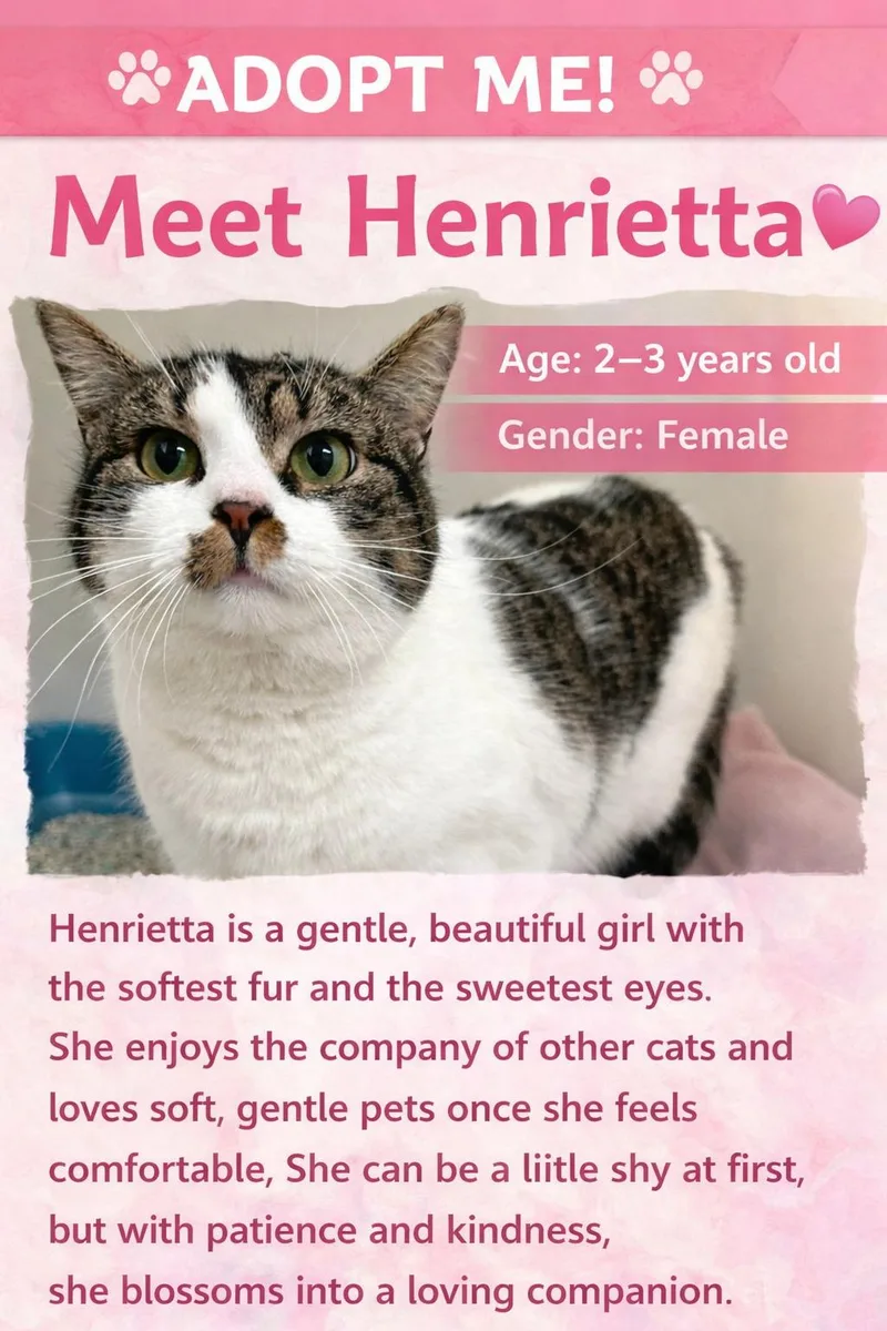 Henrietta